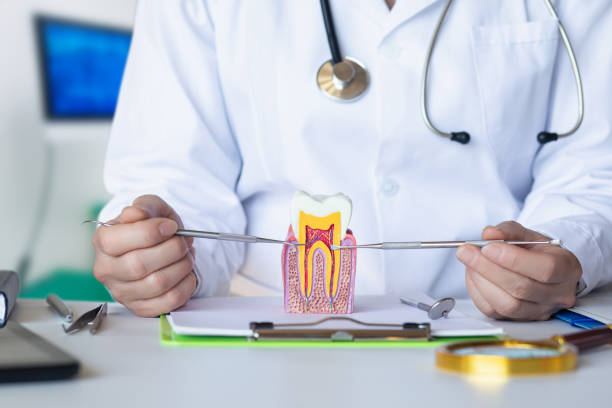 Best Emergency Denture Repair in Mcclure, PA